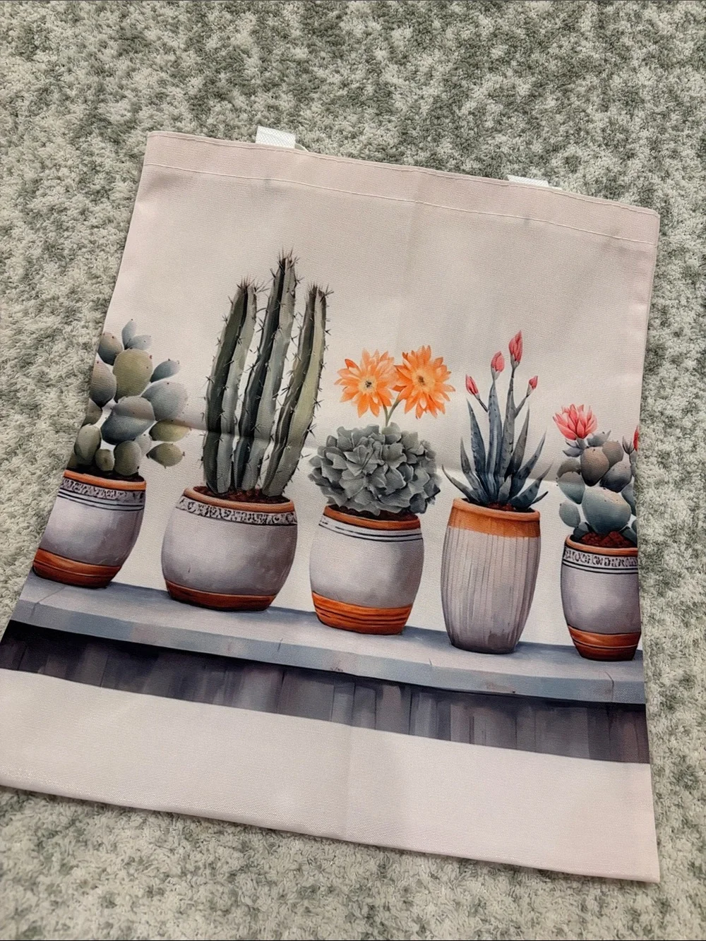 Southwest Desert Botanical Potted Cactus Succulent Poly Canvas Tote Bag NWT